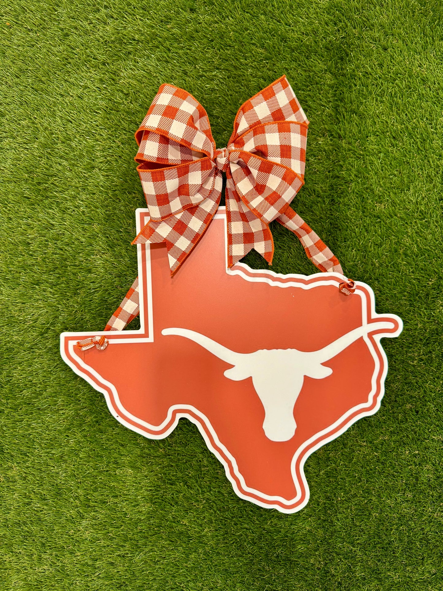 University of Texas Longhorn Door Hanger